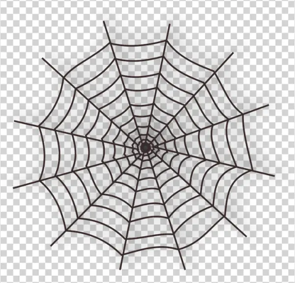 Simple Spider Web PNG Transparent Background