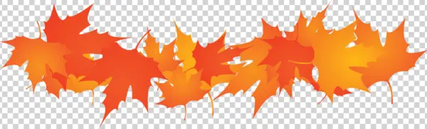 Autumn Leaves Border PNG Transparent Background