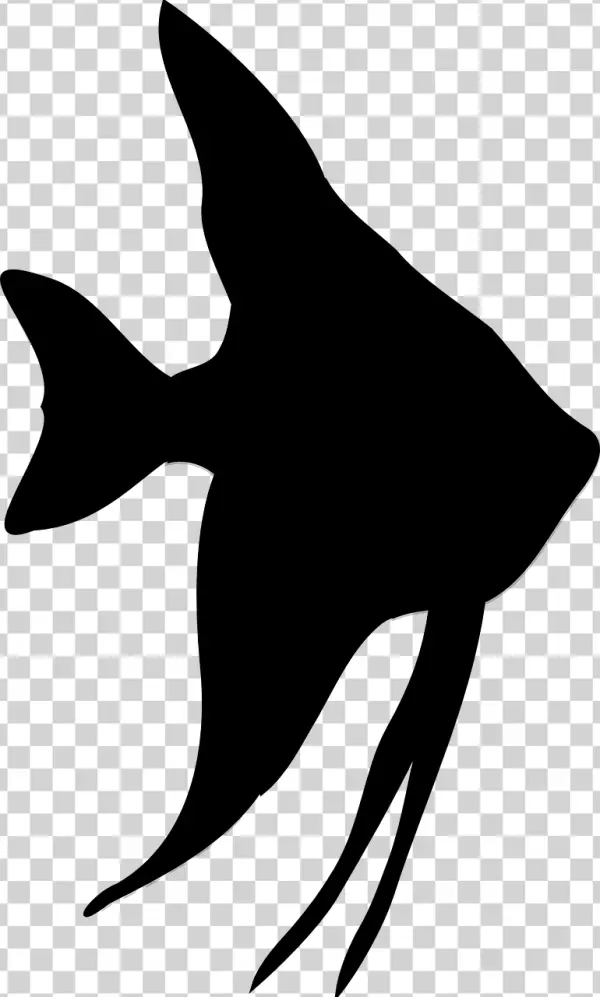 Solid Black Background PNG