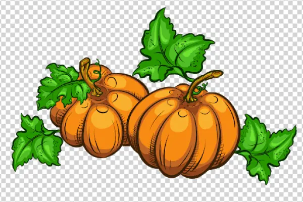 Cartoon Pumpkins with Green Leaves PNG
