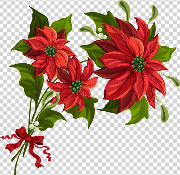 Festive Poinsettia and Mistletoe Arrangement PNG