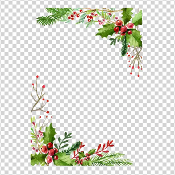 Watercolor Christmas Holly Berries Pine Branches Frame