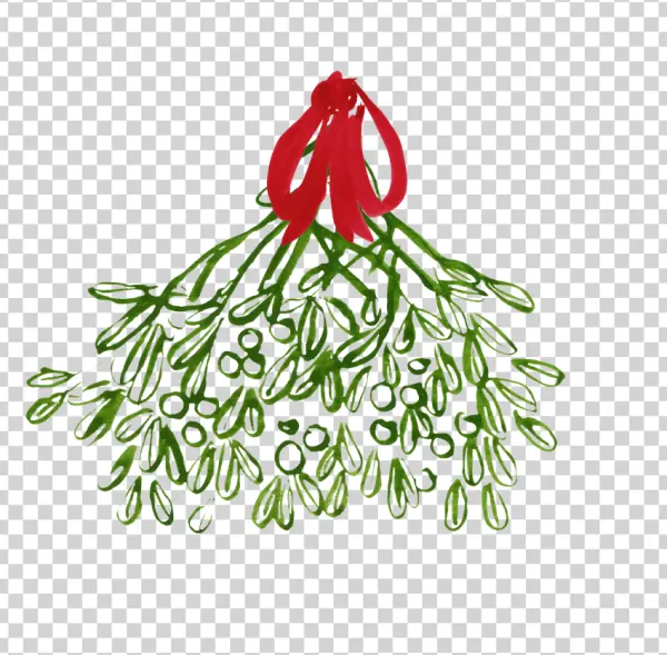 Watercolor Mistletoe with Red Bow PNG