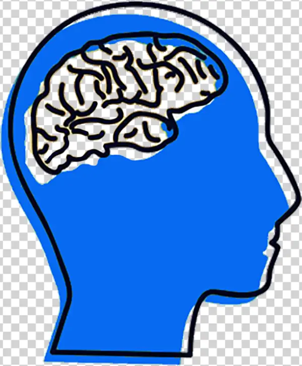 Blue Human Head with Brain Icon PNG