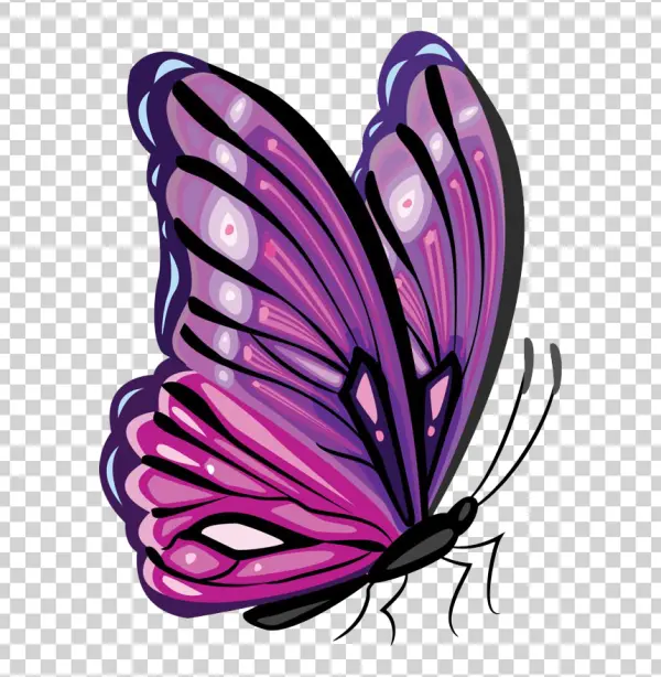 Vibrant Purple Butterfly PNG Transparent Background