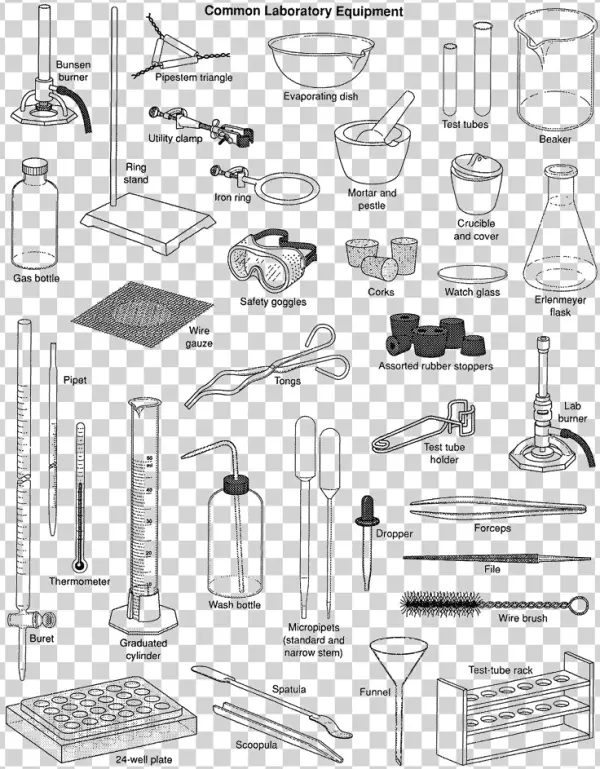 Common Laboratory Equipment Illustration PNG