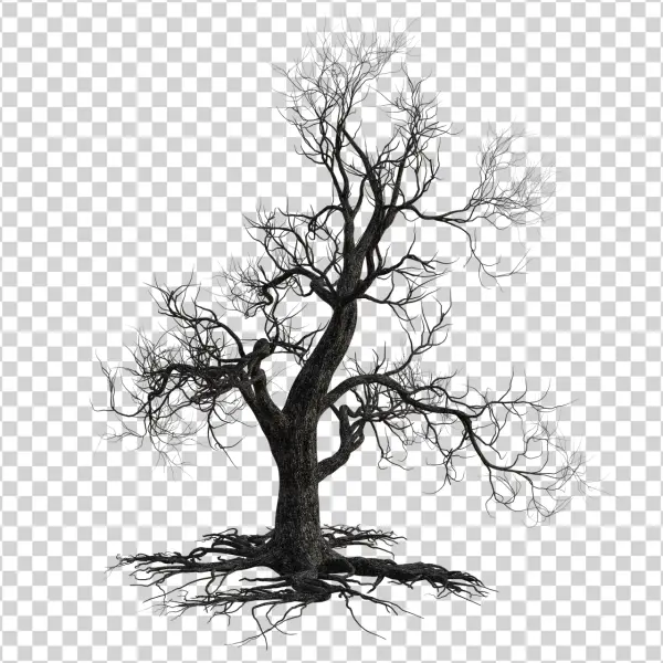 Spooky Bare Tree with Roots Transparent Background