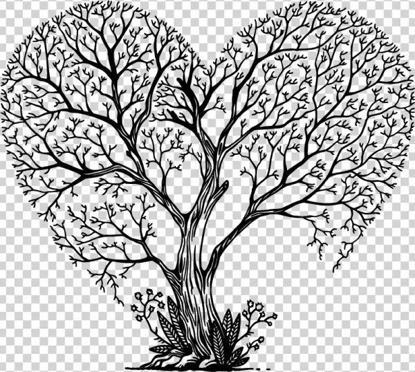 Heart Shaped Tree Line Art PNG