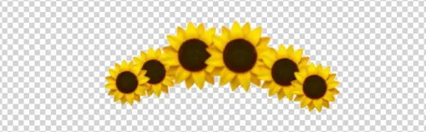 Sunflower Arch Garland PNG Transparent Background