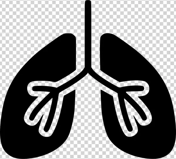 Human Lungs Icon PNG Transparent
