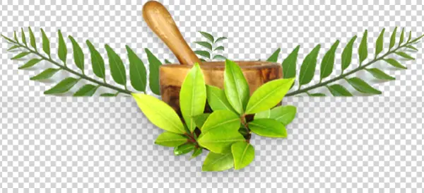 Herbal Mortar and Pestle with Fresh Leaves PNG
