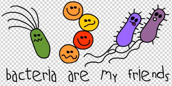 Cartoon Bacteria Are My Friends PNG