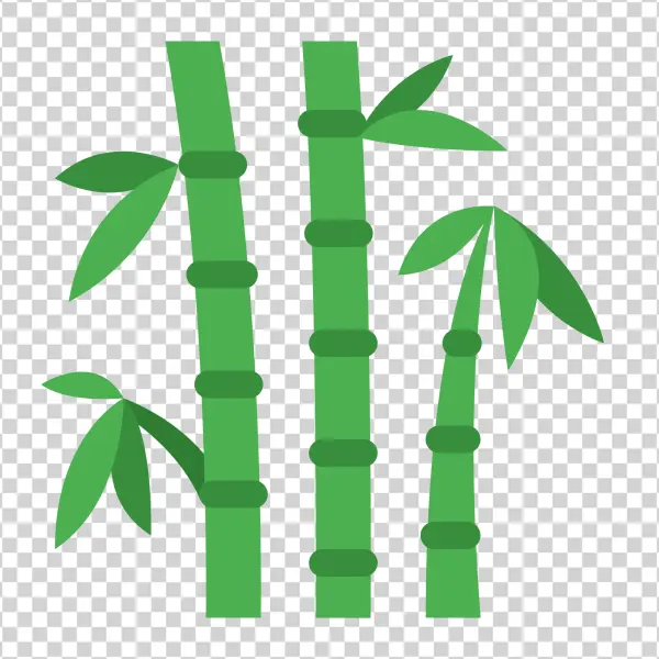 Green Bamboo Stalks PNG Transparent