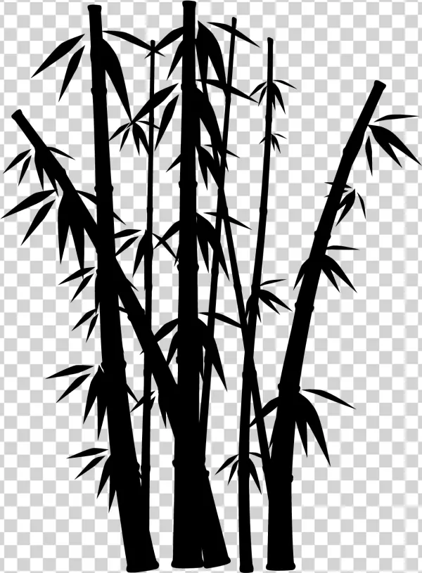 Solid Black Background PNG Transparent