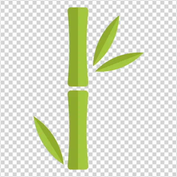 Bamboo Stalk with Leaves PNG Transparent Background