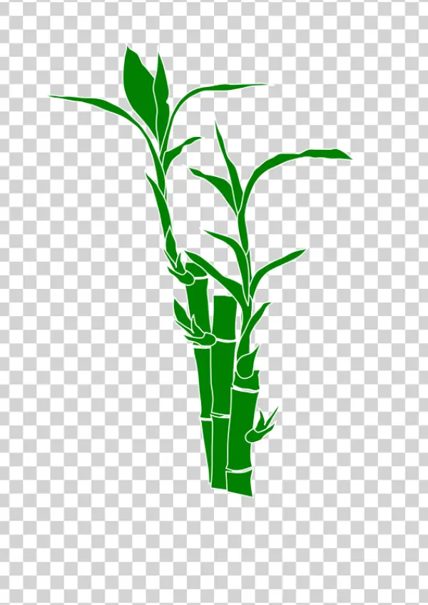 Green Bamboo Stalks PNG Transparent Background