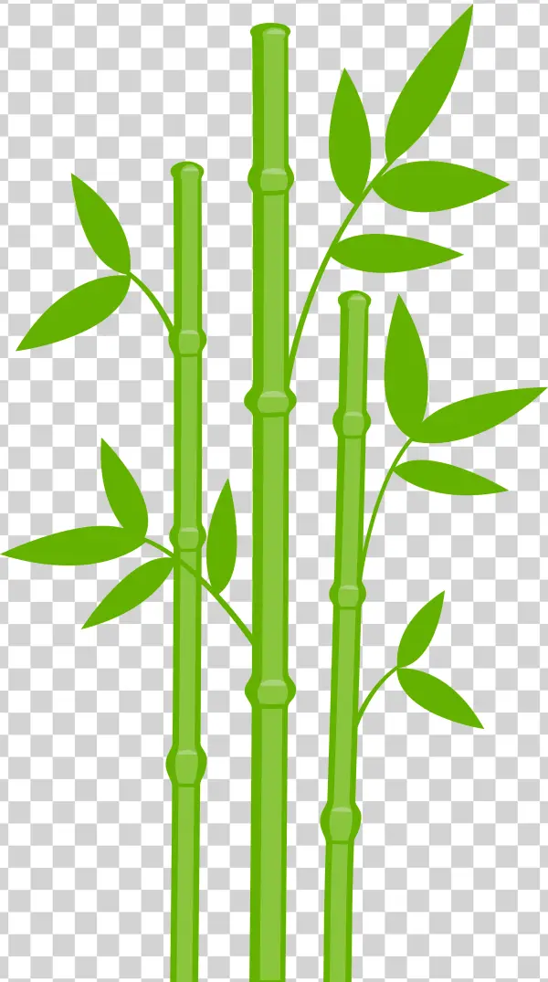 Stylized Green Bamboo Plant PNG Transparent Background