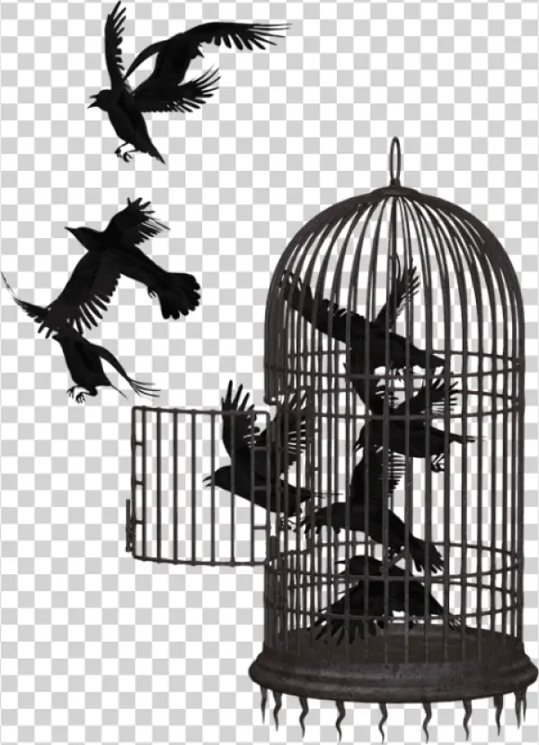 Dark Birds Escaping Birdcage PNG Transparent