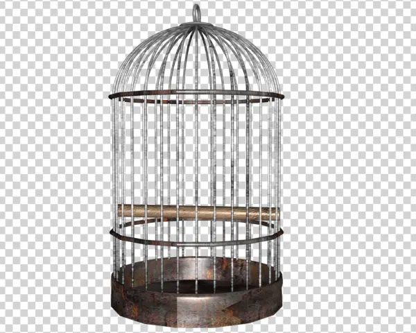 Old Rusty Bird Cage PNG Transparent Background