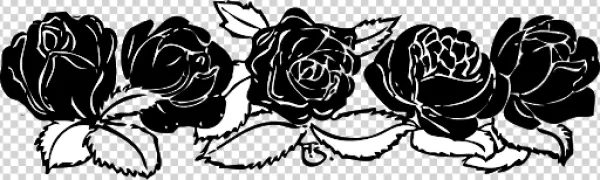 Stylized White Rose Outlines PNG Transparent