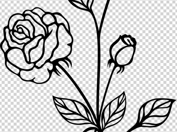 Solid Black Background PNG