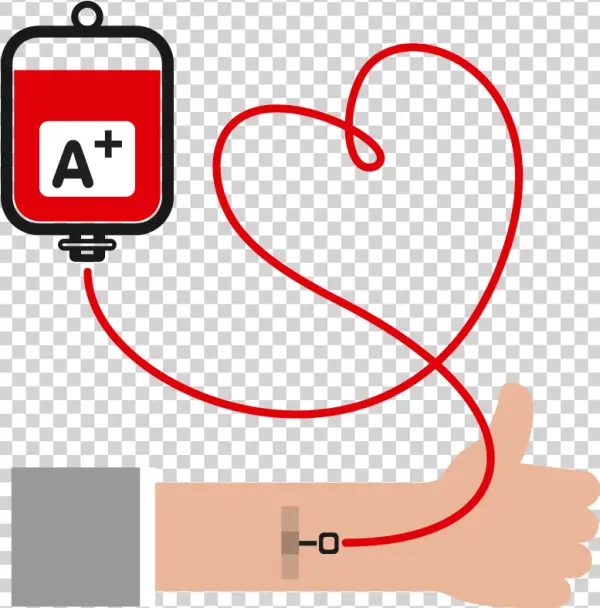 Blood Donation with Heart Tube PNG Transparent Background