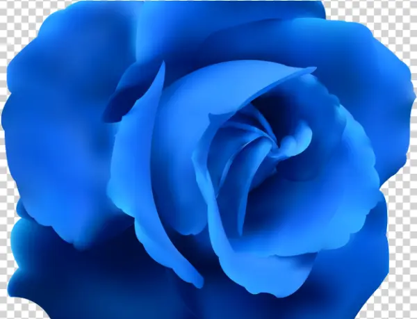 Vibrant Blue Rose PNG Transparent Background