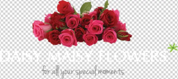 Red and Pink Roses Bouquet PNG Transparent Background