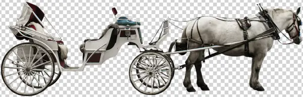 White Horse Drawn Carriage PNG Transparent Background
