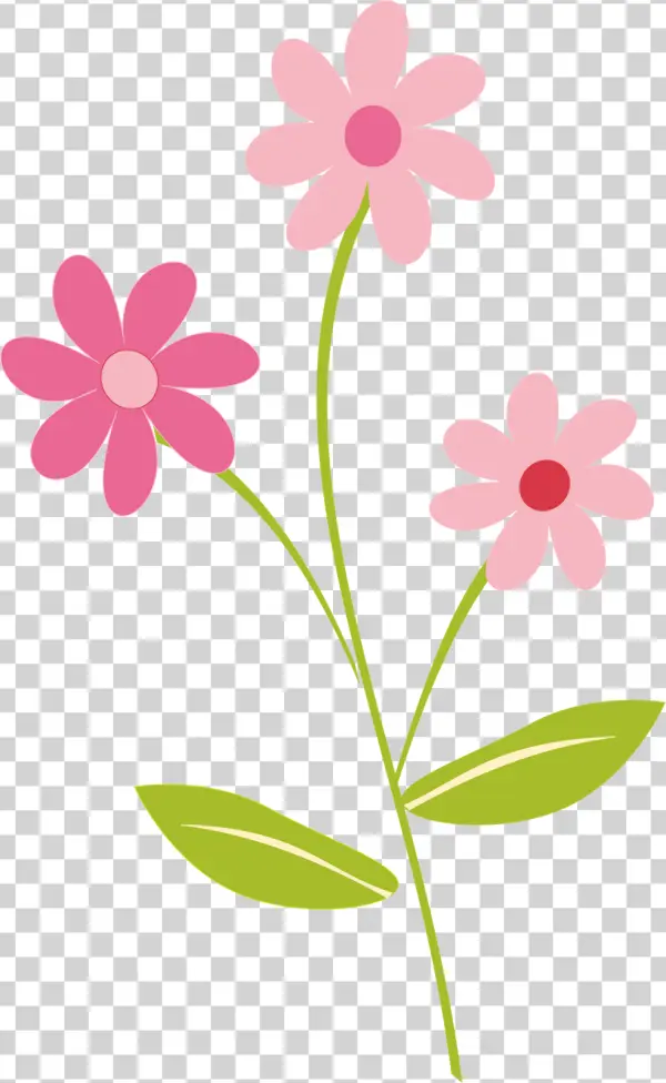 Three Pink Cartoon Flowers PNG Transparent Background