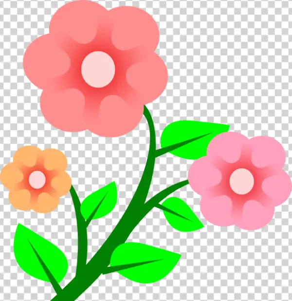 Cute Pink and Orange Flowers PNG Transparent