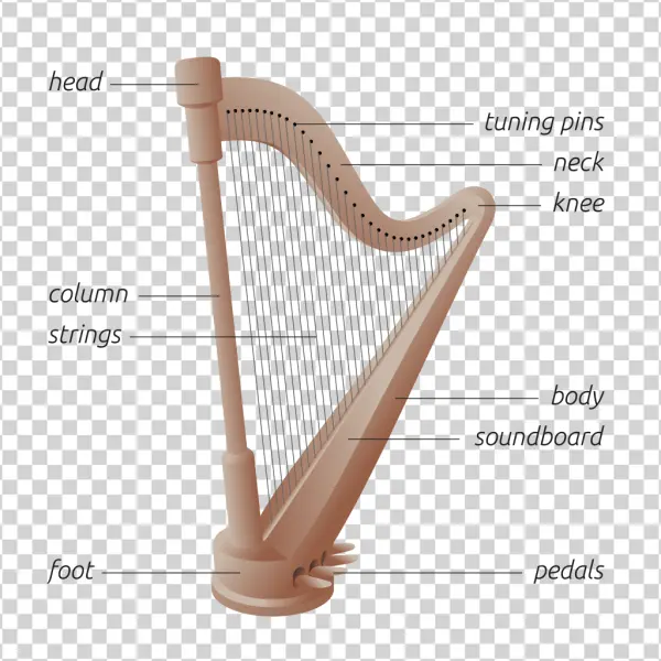 Harp Diagram with Labeled Parts PNG Transparent Background