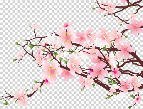 Pink Cherry Blossom Branch PNG Transparent Background
