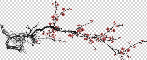 Plum Blossom Branch PNG Transparent Background
