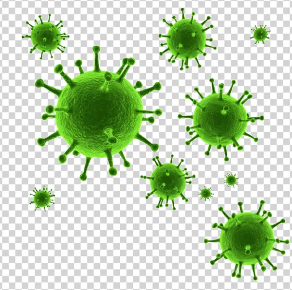 Green Virus Cells PNG Transparent Background