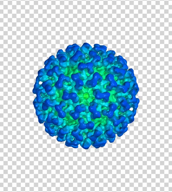 Icosahedral Virus Capsid PNG Transparent Background