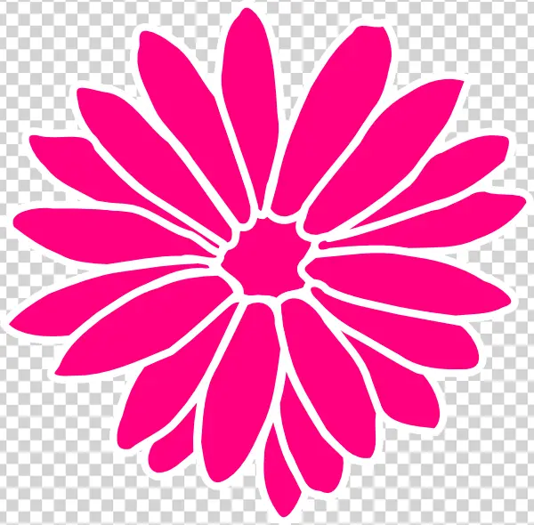 Vibrant Pink Daisy Flower Outline PNG