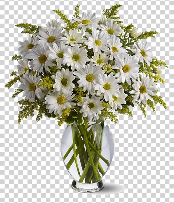 White Daisy Bouquet in Glass Vase PNG Transparent