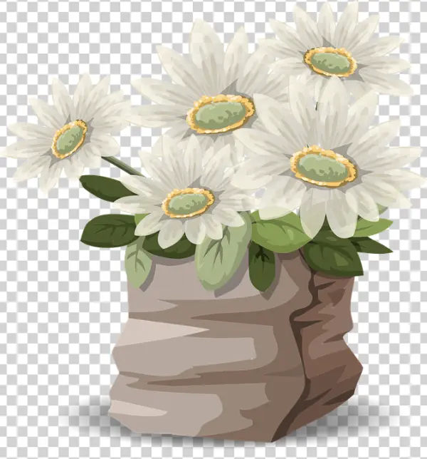 White Daisies in Stone Pot PNG Transparent Background