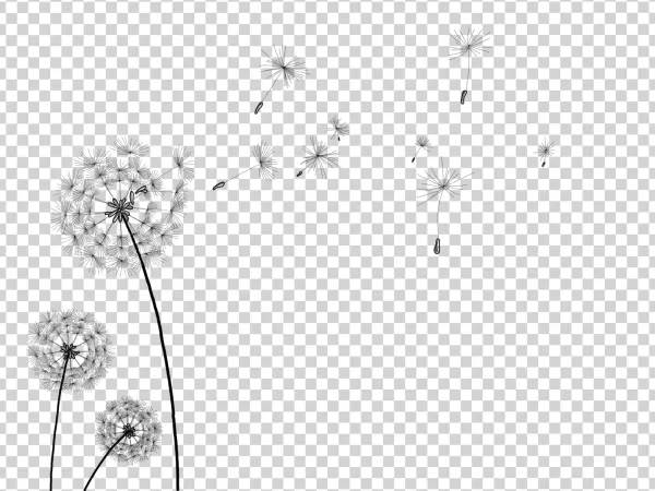 Blowing Dandelion Seeds PNG Transparent Background
