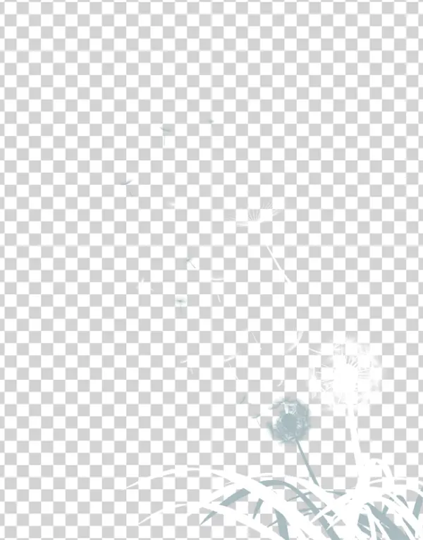 Dandelion Seeds Blowing in Wind PNG Transparent Background