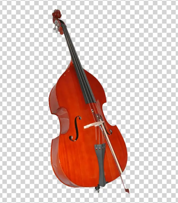 Classic Double Bass PNG Transparent Background