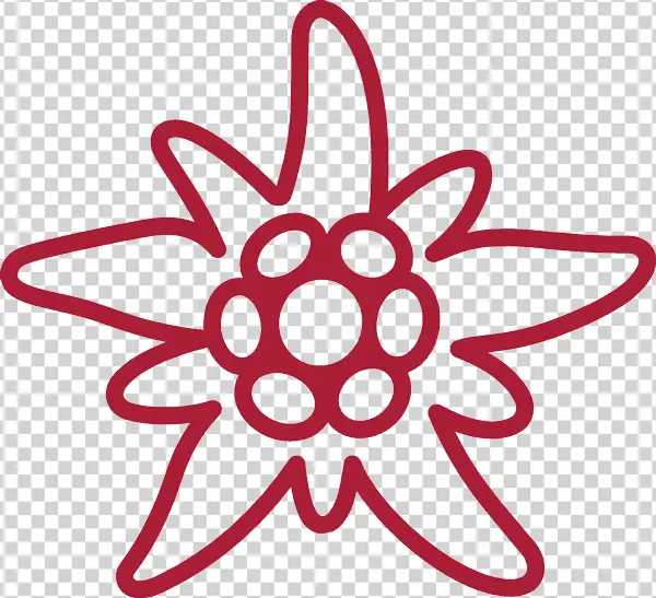 Red Edelweiss Outline Icon PNG Transparent Background