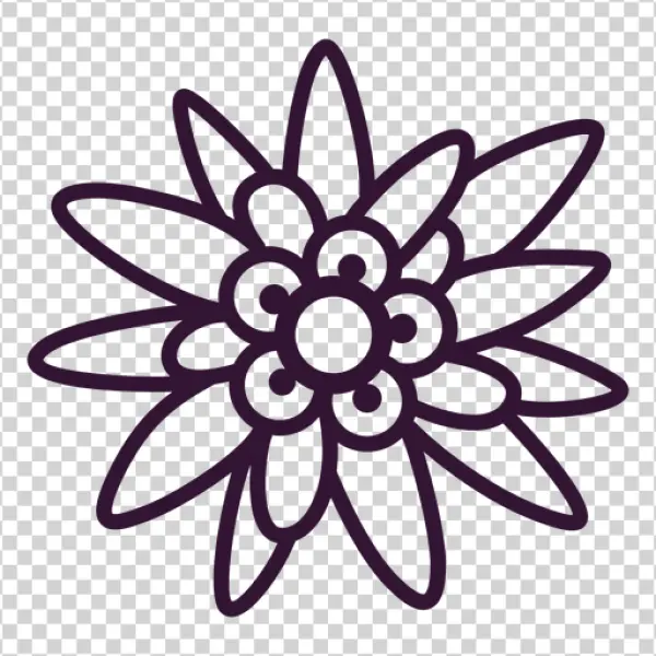 Purple Outline Flower Edelweiss Style PNG