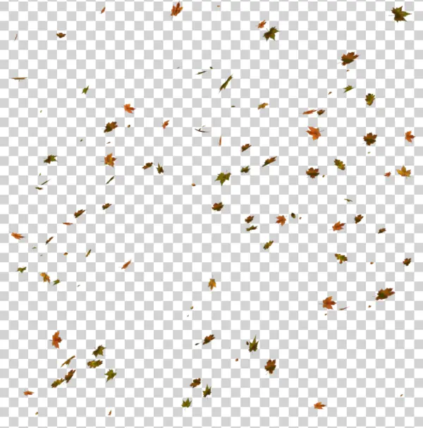 Falling Autumn Leaves PNG Transparent Background