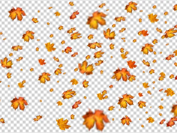 Falling Autumn Leaves PNG Transparent Background