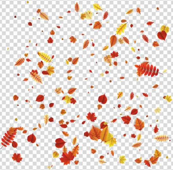 Falling Autumn Leaves Transparent PNG