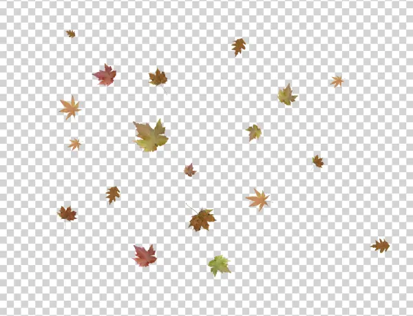 Falling Autumn Leaves PNG Transparent Background