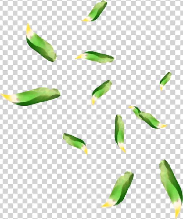 Falling Green Leaves PNG Transparent Background