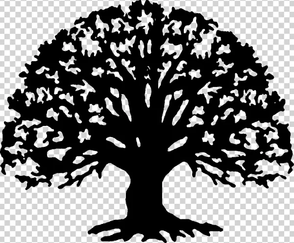 Completely Black PNG Image